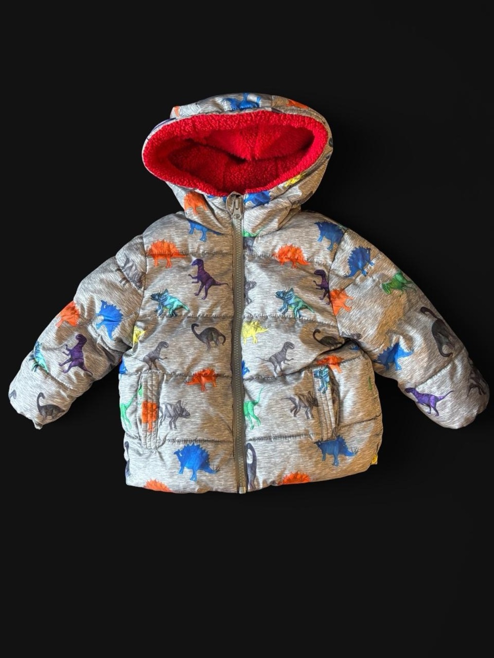 Swiss Tech Winter Coat